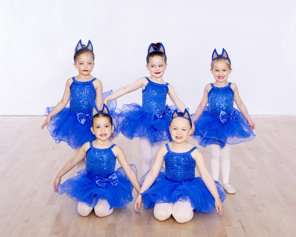 Pre ballet blue Bluey costumes